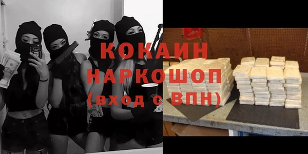 хмурый Аркадак