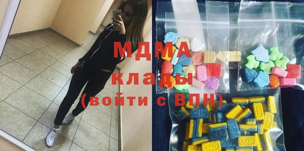 хмурый Аркадак