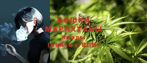 винт Баксан