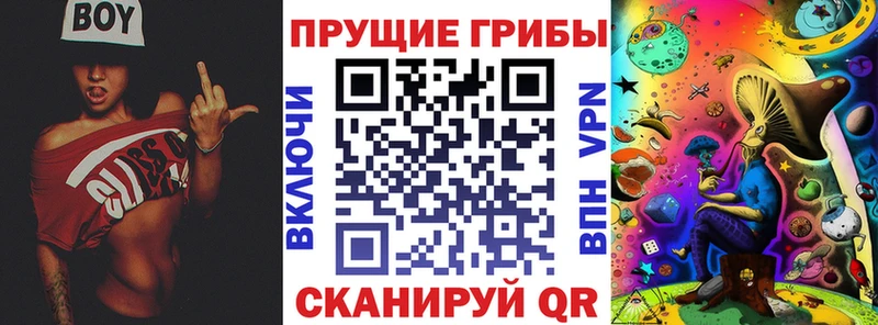 Галлюциногенные грибы GOLDEN TEACHER  Майкоп 