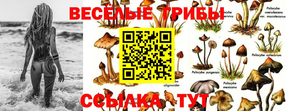 Героин Майкоп