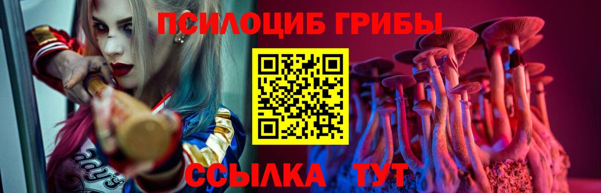 Майкоп  Галлюциногенные грибы мицелий  Вход с VPN  Псилоцибиновые грибы ЛСД 